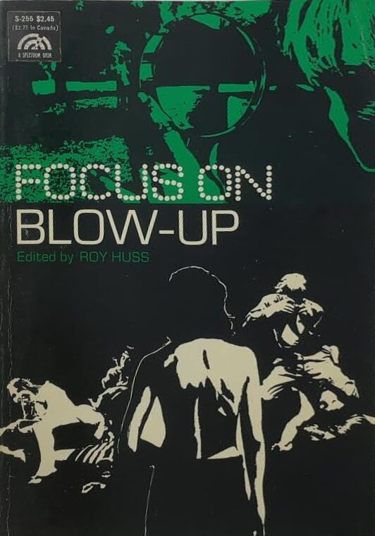 Book cover: Focus on Blow-Up
