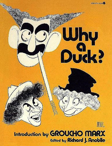 Book cover: Why a Duck?