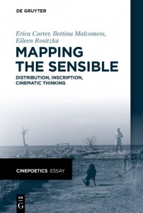 Couverture du livre Mapping the Sensible - de Erica Carter, Bettina Malcomess et Eileen Rositzka