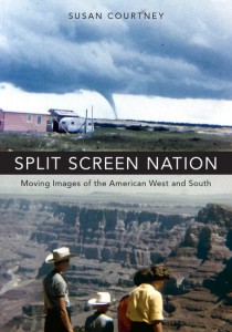 Couverture du livre Split Screen Nation - de Susan Courtney