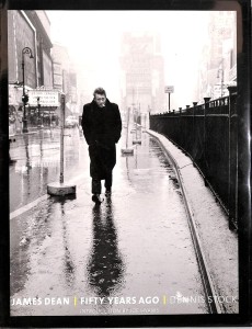 Cover of the book James Dean - by Dennis&nbsp;Stock and Joe&nbsp;Hyams