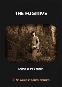 Cover of the book The Fugitive - by David P. Pierson