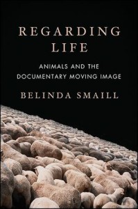 Cover of the book Regarding Life - by Belinda Smaill