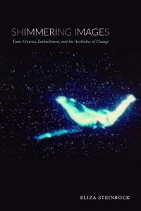 Couverture du livre Shimmering images - de Eliza Steinbock