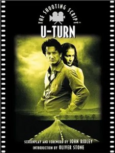 Cover of the book U-Turn - by John&nbsp;Ridley