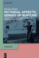 Pictorial Affects, Senses of Rupture:On the Poetics and Culture of Popular German Cinema, 1910-1930