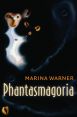 Phantasmagoria:Spirit Visions, Metaphors, and Media into the Twenty-first Century