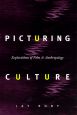 Picturing Culture:Explorations of Film and Anthropology
