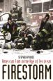 Firestorm:American Film in the Age of Terrorism