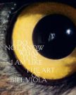 I Do Not Know What It Is I Am Like:The Art of Bill Viola