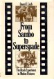 From Sambo to Superspade:The Black experience in motion pictures