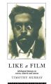 Like a Film:Ideological Fantasy on Screen, Camera and Canvas
