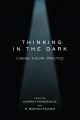 Thinking in the Dark:Cinema, Theory, Practice