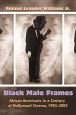 Black Male Frames:African Americans in a Century of Hollywood Cinema, 1903-2003