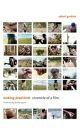 Making Dead Birds:Chronicle of a Film