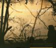 Of This Place and Elsewhere:The Films and Photography of Peter Mettler