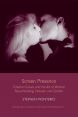 Screen Presence:Cinema Culture and the Art of Warhol, Rauschenberg, Hatoum and Gordon